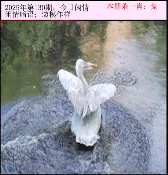 130期今日闲情[图]