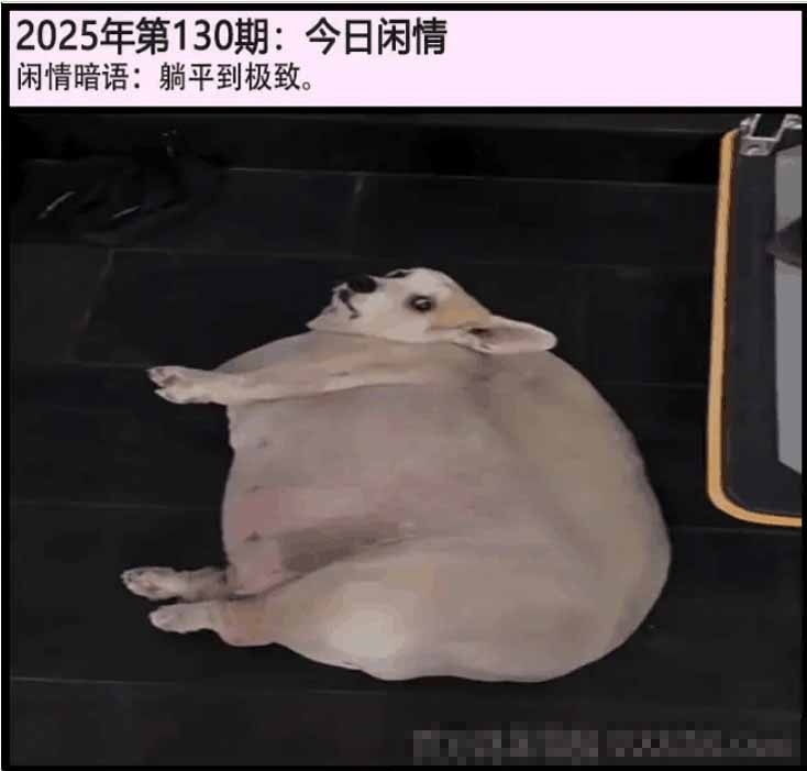 130期另版今日闲情[图]